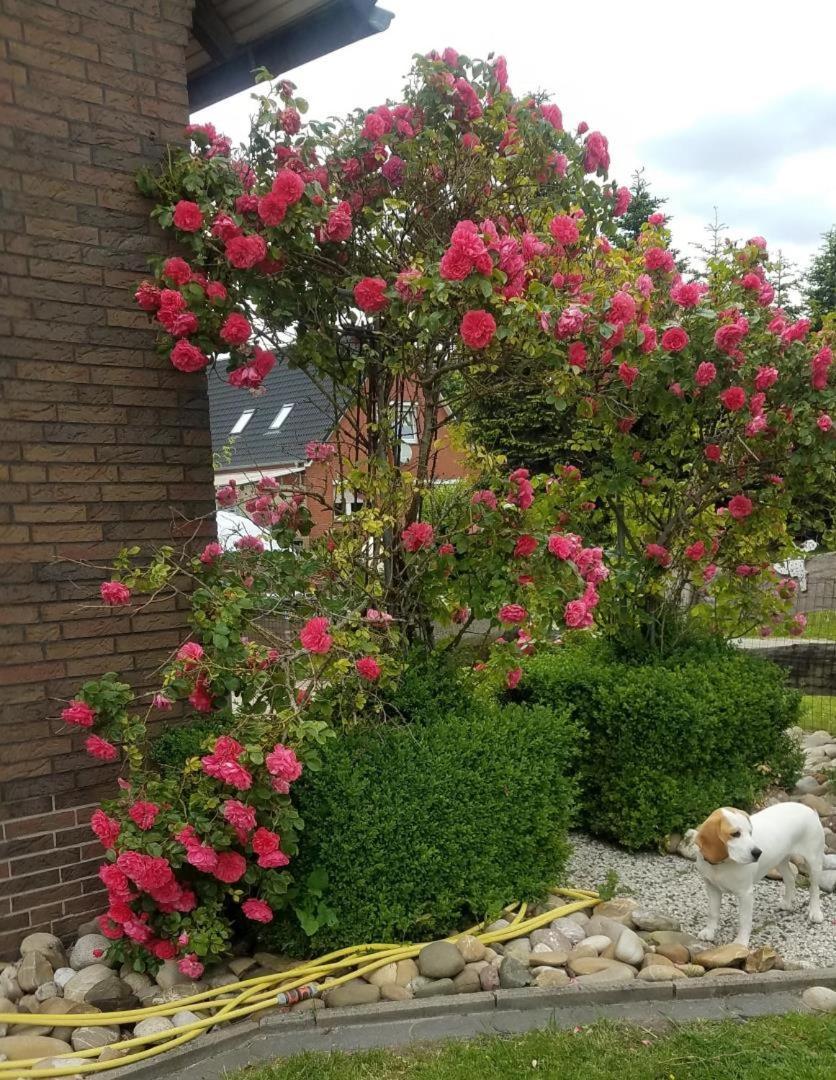 Ferienwohnung Aurich Ostfriesland Luaran gambar